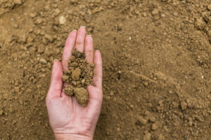 Maintaining Healthy Soil with Proper Septic Tank Management